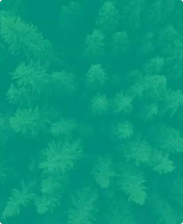 Forestry and Biodiversity