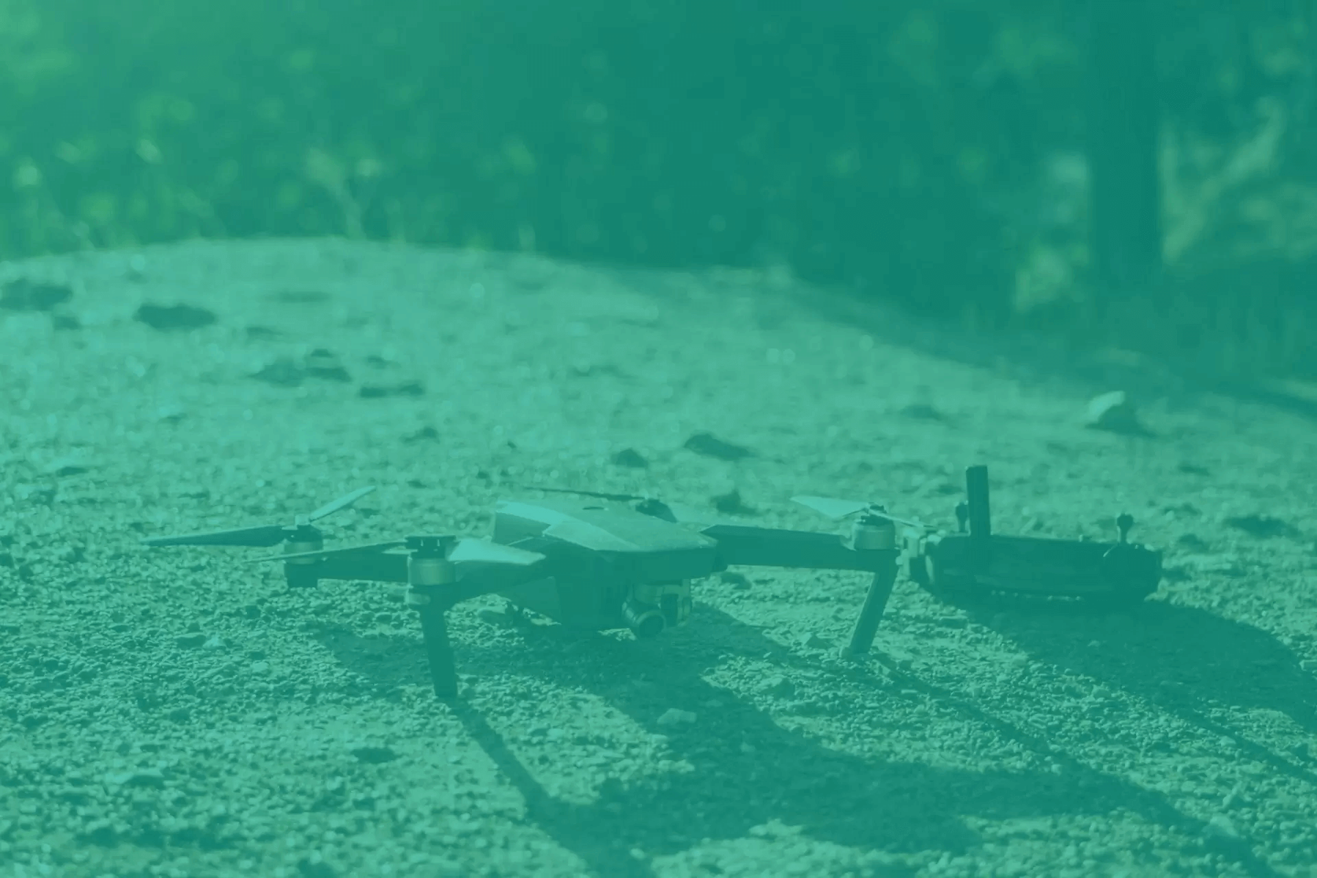 Crop Monitoring